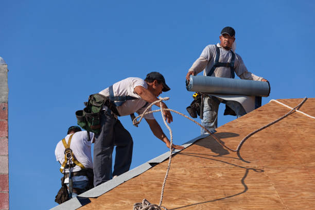 Best Gutter Installation and Roofing  in Warson Woods, MO